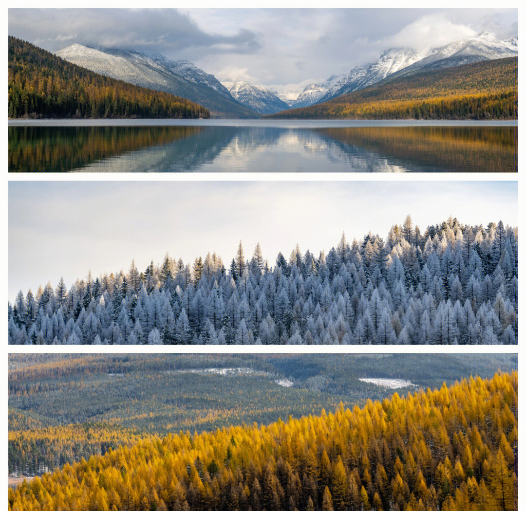 The Evolution of Beauty: Four Years at Glacier National Park